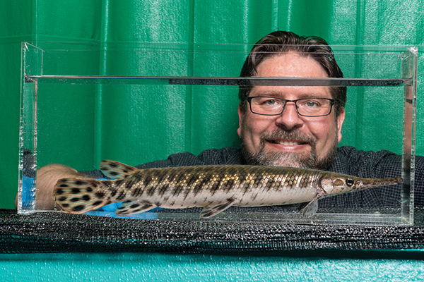 INGO BRAASCH looking through an aquarium with a spotted gar inside